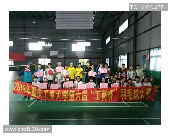 重庆羽毛球队个人能力分析与发展潜力研究